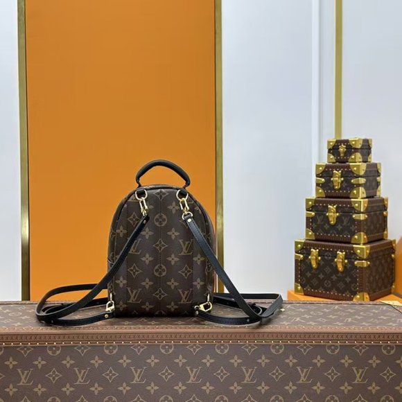 LV Brand new Louis Vuitton brown backpack casual bag travel bag main image 4